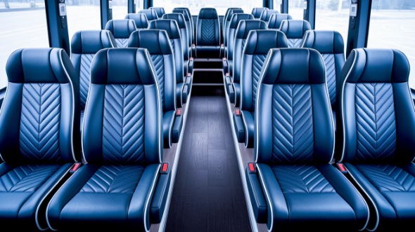 20 passenger minibus rental