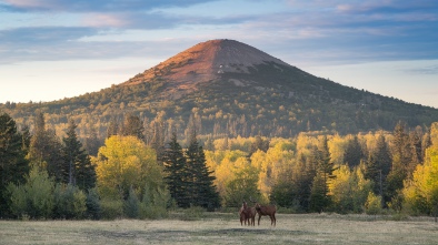 buck hill