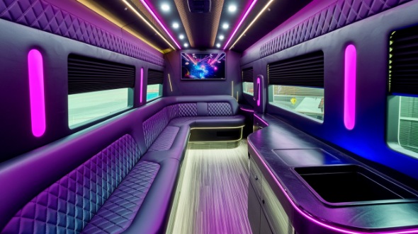 sprinter limo rental inside